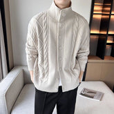 Threebooy Mens Twist Casual Knitted Sweater New Autumn Winter Genderless Fashion Temperament Solid Color Stand Collar Jacket Unisex