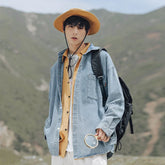 47532057395488|47532057428256|47532057461024|47532057493792