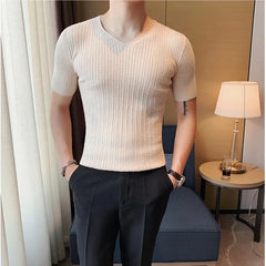 Threebooy Clothing Men's Summer High Quality Casual Knit T-shirt/Male Slim Fit Fashion V-neck Short Sleeve T-shirt Black White