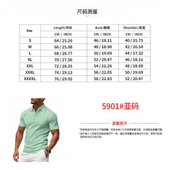 Threebooy European American Men's Casual Breathable Quick-drying POLO Short Sleeves