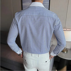 Threebooy Men's Spring High Quality Business Long Sleeve Shirts/Male Slim Fit Lapel Office Dress Shirts Hombre Casual Chemise de luxe