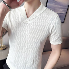 Threebooy Summer Slim fit Fitness Stretch T-shirt Men Tee Tops Ice Silk Short Sleeve V-neck Knit Tee Shirt Mens Solid Color T Shirt S-3XL