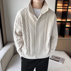 Threebooy Mens Twist Casual Knitted Sweater New Autumn Winter Genderless Fashion Temperament Solid Color Stand Collar Jacket Unisex