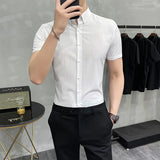 Threebooy  Brand Clothing Men's Summer Leisure Stripe Short Sleeve Shirts/Male Slim Fit Business Lapel Shirts Black White S-5XL