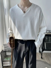 Threebooy  Light Luxury Top High-end Niche Designer V-neck Long-sleeved T-shirt Men Spring Autumn Trendy Versatile Base Shirt Aesthetic