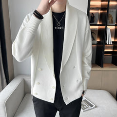 Threebooy Double-Breasted Cardigan Sweater Men Spring Clothes Knitted Sweater Coat Pure Color Men Casual New Slim Fit Brand Clothes S-3XL