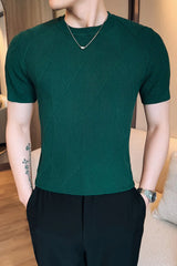 Threebooy  Summer Korean Knitted T-shirt Men Slim Short Sleeve Knitted Pullover Sweater Daily Casual Tshirts Round Neck Business Base Shirt