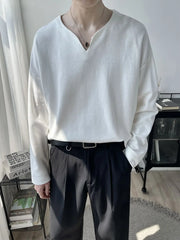 Threebooy  Light Luxury Top High-end Niche Designer V-neck Long-sleeved T-shirt Men Spring Autumn Trendy Versatile Base Shirt Aesthetic