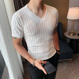 Threebooy  Men's Summer Casual Knitting Ice Silk T-shirt/Male Slim Fit V-Neck Short Sleeve T-Shirt Slim Fit Tees Plus Size S-4XL